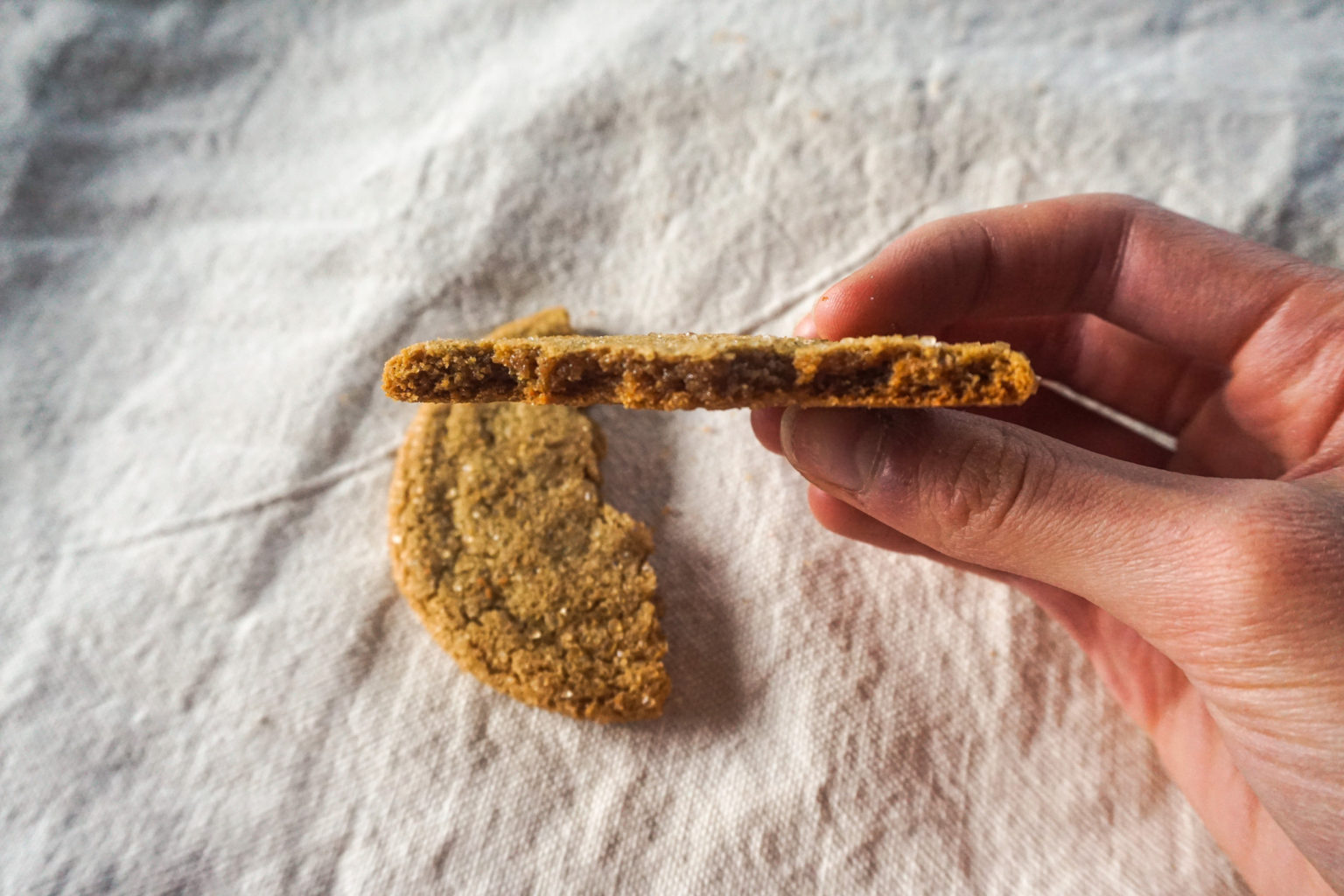 Glutenfree Gingersnap Cookies (dairyfree, nutfree) Gluten Illusion